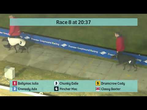 Crayford Greyhounds Races on 18th February 2023