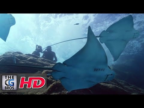 CGI 3D/VFX Studio Showreel: "Mikros Image - Showreel 2017"