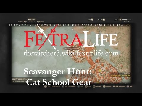 ᐈ The Witcher 3 Cat Feline School Gear  Locations  How to Get It   WePlay
