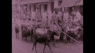 Trailer Thumbnail