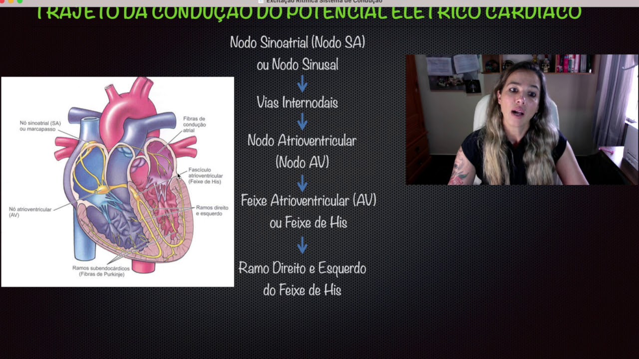 Sistema de Condução Intrínseco do Coração