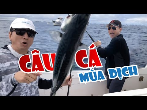 😊 VAN SON và TRƯỜNG VŨ Tránh Dzịch Trốn Vợ  Đi Câu Cá Trong Mùa Dịch Dzật