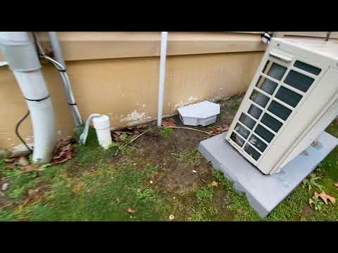 Damaged Crawl Space Vents Allows Mice to Infest Home in Point Pleasant, NJ