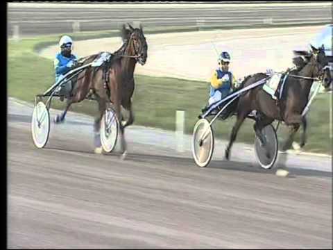 Trotto 01/11/2015 - 1° corsa