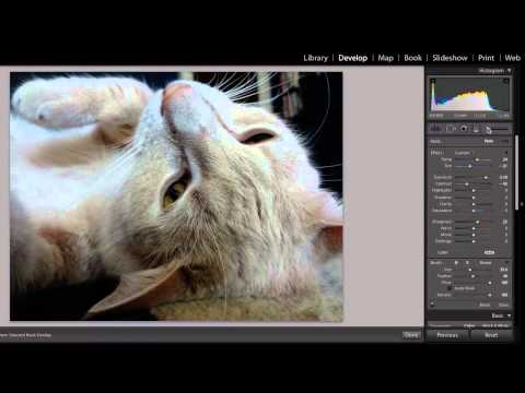 How to Run Lightroom in 64 Bit