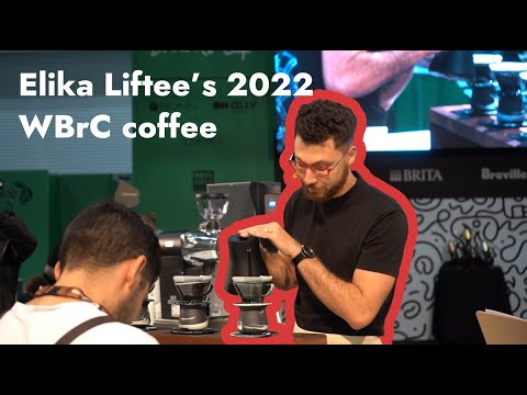 Why did Elika Liftee (2022 WBrC 2nd place) choose Stronghold to roast his competition coffee?