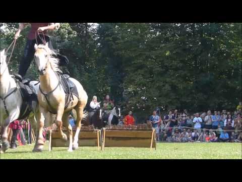 Hero Merkel Angelbachtal 2015