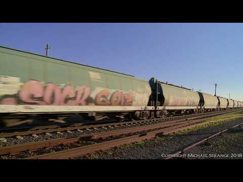 Pacific National 7754V Grain Train - PoathTV Australian Railways