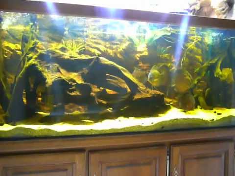 comment modifier le gh de mon aquarium