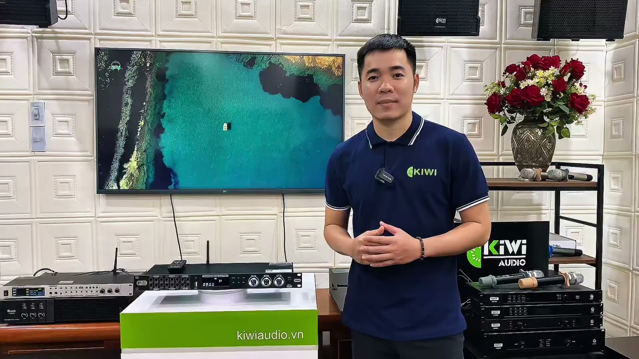 Khám phá vang cơ KIWI VK186 - Sự lựa chọn cho dàn Karaoke gia đình