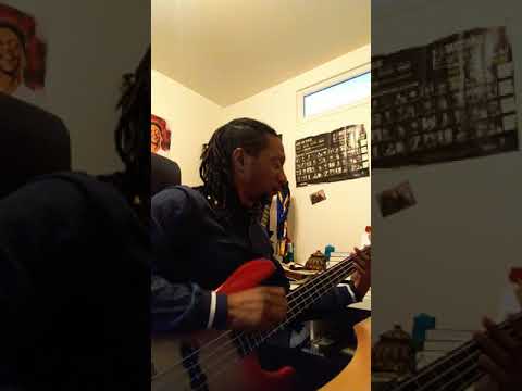 Stéphane Castry  bass cover - Ansanm-Basstry Therapy