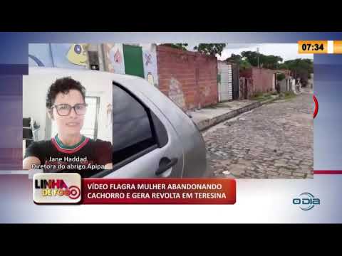LINHA DE FOGO 11 03 2020 VíDEO FLAGRA MULHER ABANDONANDO CACHORRO E GERA REVOLTA EM TERESINA