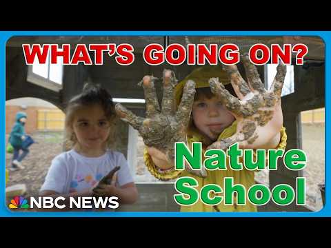 What Happens When A School Goes Screen-Free? Here's What's Going On!