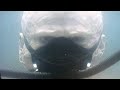 Darth Vader Suit Up From Bacta Tank To Armor Scene Mash Up From Rogue One And Kenobi Series