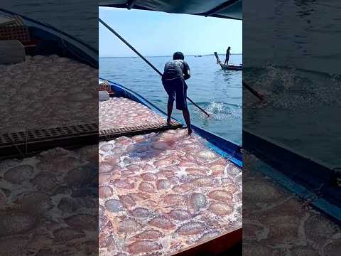 World Most Dangerous Jobs #shortvideo