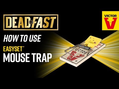 Deadfast Easy Set Mouse Trap Video