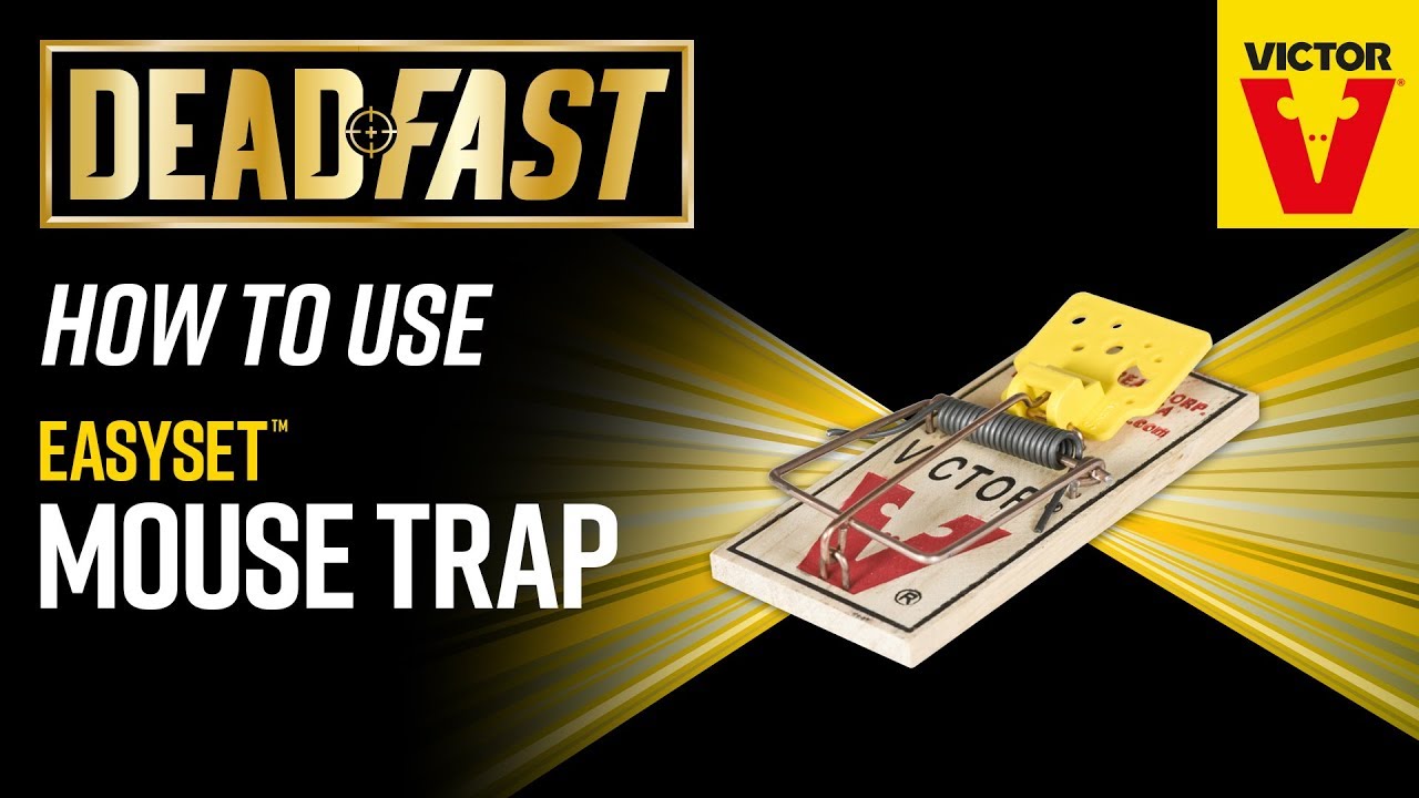 Deadfast How To Use Easy Set Mouse Trap
