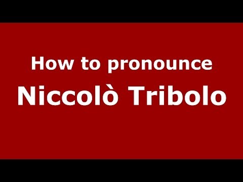 How to pronounce Niccolò Tribolo (Italian/Italy) - PronounceNames.com