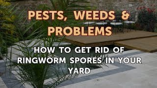How to Get Rid of Ringworm Spores in Your Yard