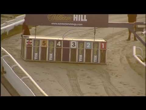 Bubbly Turbo Winning His Race In Trap 4 At Sunderland. Xxx