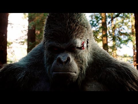 Grodd Powers and Fight Scenes - The Flash Season 9