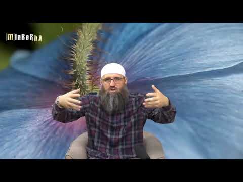 Nejasnoća i razumjevanje hadisa s nagradom ulaska na svih 8 vrata Dženneta - Elvedin Pezić