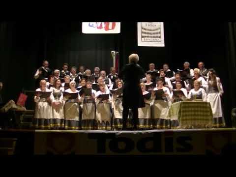 LU PIANTE DE LE FOJJE (Canzone di C. De Titta, G. Albanese) Coro Voci delle Ville di Ortona