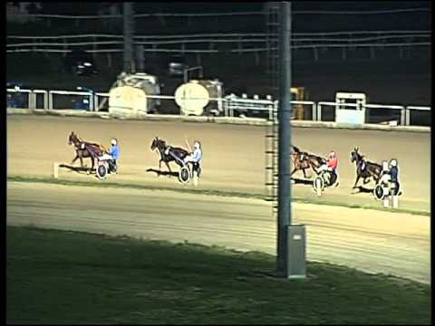 Trotto 21/01/2016 - 1° prova di qualifica