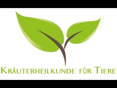 Salomonsiegel - Polygonatum multiflorum