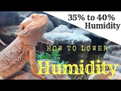 YouTube video about: How to reduce humidity in reptile tank?