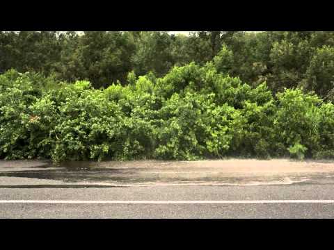 RPM TV - Episode 225 - VW Golf 1.4 TSI Highline