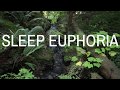 SLEEP EUPHORIA (Voice) A guided sleep meditation to help you fall deeply asleep, Fall asleep fast