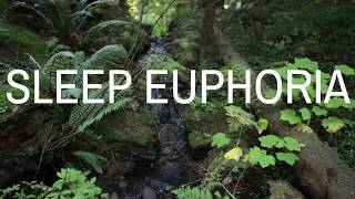 SLEEP EUPHORIA (Voice) A guided sleep meditation to help you fall deeply asleep, Fall asleep fast