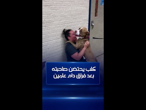 شاهد بالفيديو.. في مشهد يدل على وفاء الحيوانات .. كلب في #الولايات_المتحدة يحتضن صاحبته بعد فراق دام عامين