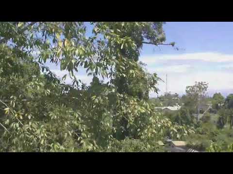 You Winim Fight na kisim bek me-name above all names-OFFICAL MUSIC VIDEO.