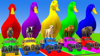 Download lagu Long Slide Game With Cow Elephant Gorilla Hippopotamus Tiger 3d Animal Game Funny 3d Animals mp3