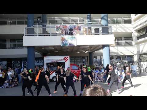 Dorot Horim - Simchat Horim - Mostra Dorot 2019