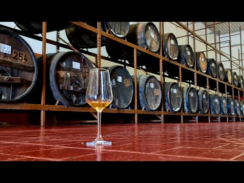 Visita alla cantina Silvio Carta (regno della Vernaccia di Oristano)