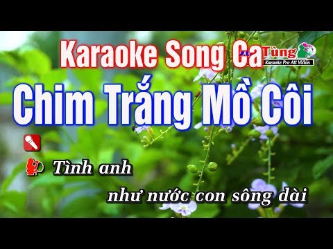 Karaoke || Chim Trắng Mồ Côi Song Ca || Nhạc Sống Duy Tùng