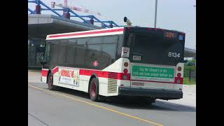 *Growly & Gargly* TTC 2010 Orion VII (07.501) NG 8134 • Audio Recording 