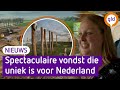 Wat een ontdekking! STONEHENGE in TIEL