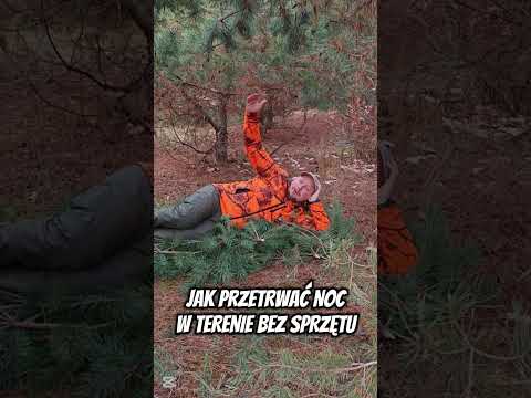 Proste Triki na Przetrwanie Nocy w Lesie Bez Ekwipunku!