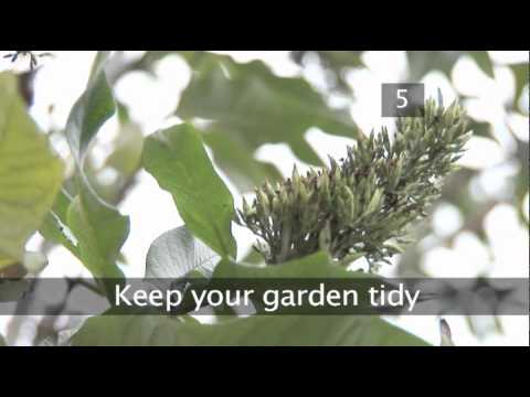 How To Be A Good Neighbour