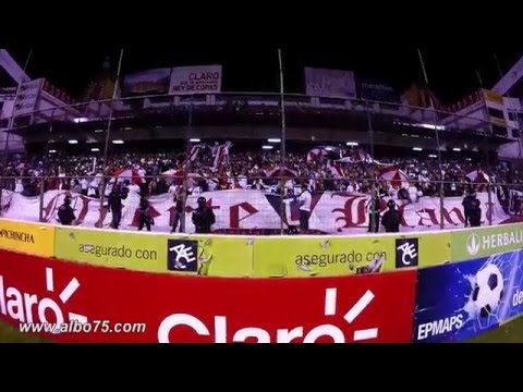 "Hoy yo vengo a alentarte" Barra: Muerte Blanca • Club: LDU