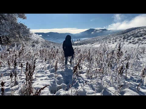 Lessons learned from another rural soul