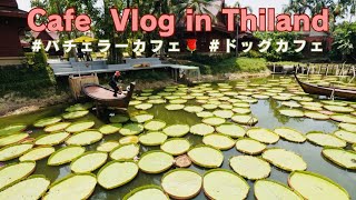 【Vlog】A relaxing holiday with cafes and animals｜Ma Doo Bua Cafe Phuket | Tiger Park | Dog cafe