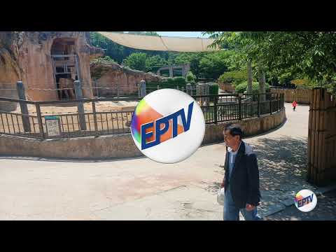 EPTV campinas sao paulo canal 12 5h00 entrando no ar ( 22 06 2026 )
