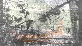 ORANGE AIRPLANE SCREAMING TREES COVER