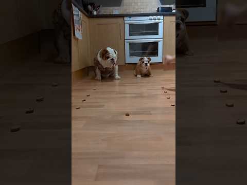 Pablo wouldn't cheat against his 3 months old Nephew... Would he?? 🤔