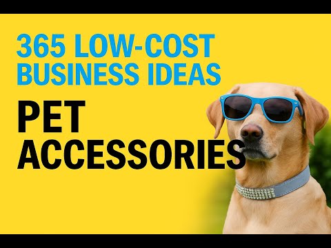 Start a Low Cost Pet Business: Start This for Under £300 - low-cost business idea